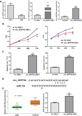 Predicting the influence of Circ_0059706 expression on prognosis in patients with acute myeloid leukemia using classical statistics and machine learning